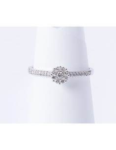 Anello Solitario Oro Bianco 18kt Diamanti AN825047